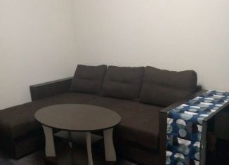 1-комнатная квартира в аренду, 40 м2, Ростов-на-Дону, улица Ерёменко, 114/1с1, ЖК Пятый Элемент