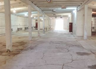 Сдаю в аренду производство, 963 м2, Вологодская область, территория Базы, 14