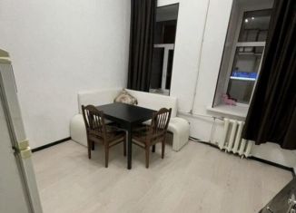 Сдам в аренду квартиру студию, 18 м2, Санкт-Петербург, улица Воскова, 9, муниципальный округ Кронверкское