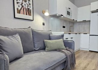 Сдаю в аренду 1-комнатную квартиру, 30 м2, Краснодар, Воронежская улица, микрорайон Черемушки