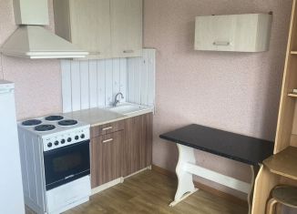 Сдаю в аренду квартиру студию, 20 м2, посёлок Берёзовый, улица Ивана Кулибина, 6, ЖК Прогресс