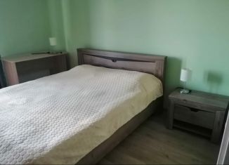 1-ком. квартира в аренду, 45 м2, Санкт-Петербург, Яхтенная улица, 24к2, муниципальный округ № 65