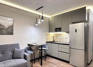 Аренда квартиры студии, 29 м2, посёлок Шушары, Новгородский проспект, 2к3