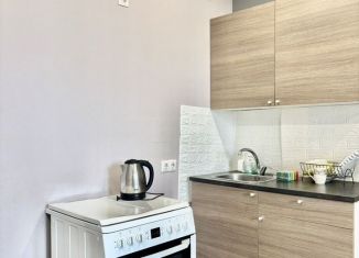 Сдается квартира студия, 29 м2, посёлок Шушары, Московское шоссе, 258к2