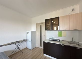 Сдается квартира студия, 20 м2, Мурино, Воронцовский бульвар, 14к1