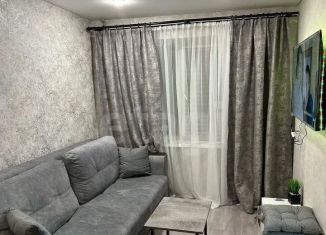 Продаю 2-комнатную квартиру, 25 м2, Воронеж, Никитинская улица, 46