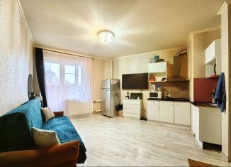 Продажа квартиры студии, 24.8 м2, Мурино, Привокзальная площадь, 1Ак2, ЖК Мечта