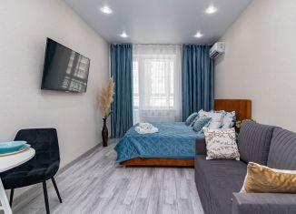 Продажа квартиры студии, 31 м2, Краснодар, улица имени Героя Георгия Бочарникова, 4к1