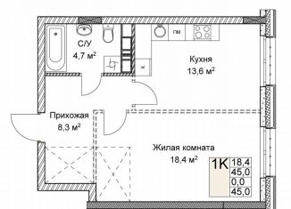 Продажа 1-комнатной квартиры, 45 м2, Нижний Новгород