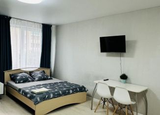 Сдам квартиру студию, 30 м2, Удмуртия, Локомотивная улица, 35