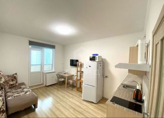 Продается квартира студия, 23.4 м2, Мурино, Воронцовский бульвар, 14к4, ЖК Краски Лета