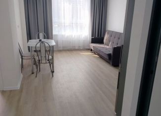 Сдам в аренду 1-комнатную квартиру, 32 м2, Люберцы, Некрасовский проезд, 7, ЖК Люберцы 2018