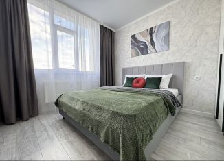 Сдам однокомнатную квартиру, 44 м2, Оренбургская область, Уральская улица, 2/25