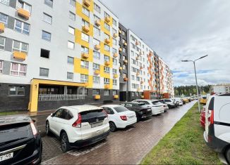 Продажа однокомнатной квартиры, 26 м2, деревня Глухово, Романовская улица, 17
