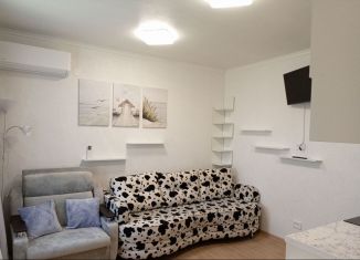 Сдается квартира студия, 18 м2, Севастополь, Фиолентовское шоссе, 74к13