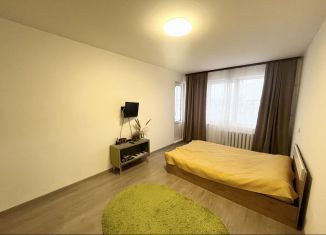 Аренда 1-ком. квартиры, 31 м2, Петергоф, Озерковая улица, 33