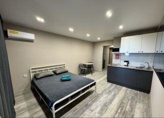 Квартира в аренду студия, 27 м2, Республика Башкортостан, улица Лётчика Кобелева, 1