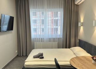 Сдается в аренду квартира студия, 22 м2, Республика Башкортостан, Революционная улица, 39/3