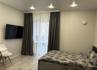 Сдам квартиру студию, 30 м2, Псков, улица Юности, 22, ЖК Смарт-квартал