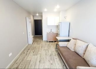 Продаю квартиру студию, 23 м2, Новоалтайск, Прудская улица, 40