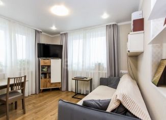 Продаю 1-комнатную квартиру, 38.3 м2, Тюмень, Велижанская улица, 66к1, ЖК Заречный