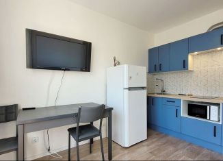 Квартира в аренду студия, 18.2 м2, Санкт-Петербург, Муринская дорога, 27к2, метро Академическая