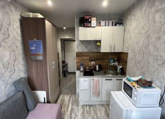 Продаю квартиру студию, 14 м2, Нижний Новгород, метро Горьковская, Моховая улица, 25