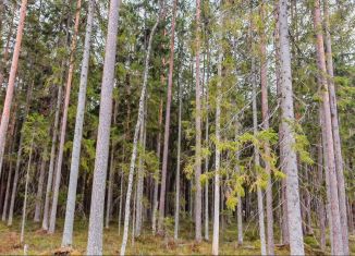 Продаю участок, 15 сот., Питкяранта, Берёзовый переулок