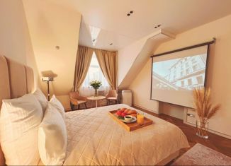 Аренда 1-ком. квартиры, 48 м2, Санкт-Петербург, Каменноостровский проспект, 26-28, муниципальный округ Кронверкское