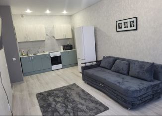 Сдается в аренду 2-ком. квартира, 43 м2, Республика Башкортостан, улица Энтузиастов, 7