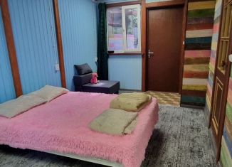 Сдается дом, 23 м2, Сестрорецк, Песчаная улица, 11