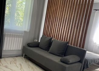 Сдача в аренду дома, 35 м2, Республика Алтай, Подгорная улица, 111