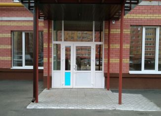 Аренда помещения свободного назначения, 84 м2, Йошкар-Ола, улица Петрова, 29