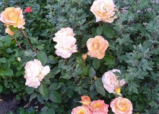 Продам дом, 89 м2, деревня Сухая Орлица, Монастырская улица