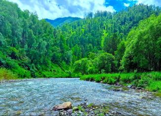 Продажа земельного участка, 48 сот., Чемальское сельское поселение