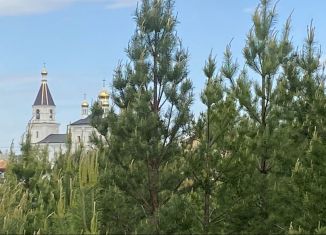 Продам участок, 20 сот., деревня Ключи, Заречная улица, 13