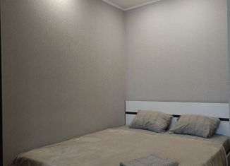 Сдается в аренду однокомнатная квартира, 45 м2, Пенза, проспект Победы, 96Е