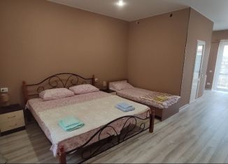 Сдам в аренду комнату, 35 м2, село Витино, Винницкая улица, 11