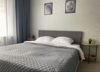 Сдам в аренду однокомнатную квартиру, 35 м2, Великий Новгород, Псковская улица, 72