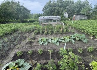 Участок на продажу, 6 сот., деревня Добрунь