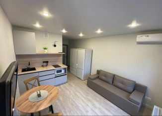 Сдается в аренду квартира студия, 20 м2, Тюмень, Лесопарковая улица, 1к1, Ленинский округ