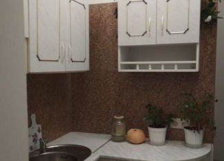 Сдается дом, 25 м2, Барнаул, Путиловская улица