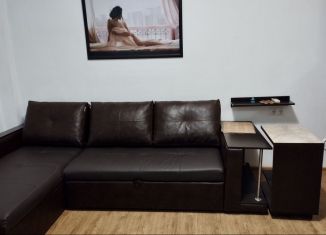 Сдача в аренду 1-комнатной квартиры, 25 м2, Сочи, Калужская улица, 23Б