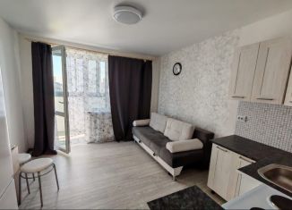 Сдам квартиру студию, 24 м2, Екатеринбург, Отрадная улица, 1, метро Геологическая