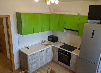 Сдается в аренду 1-комнатная квартира, 40 м2, Санкт-Петербург, Дальневосточный проспект, 25к1, ЖК Цивилизация