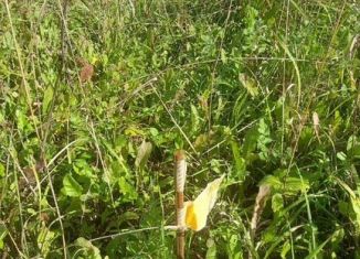 Продажа земельного участка, 500 сот., деревня Заклинье