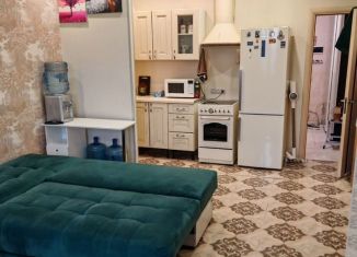 Сдается в аренду квартира студия, 36 м2, деревня Павлино, деревня Павлино, 66