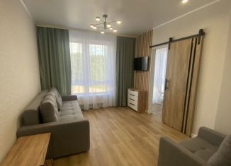 Сдам в аренду квартиру студию, 28 м2, Тула, Пряничная улица, 5