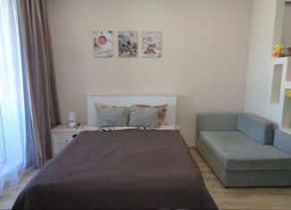 Сдаю в аренду квартиру студию, 27 м2, Тобольск, микрорайон Центральный, 28, ЖК Иртыш