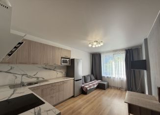 Продается 1-комнатная квартира, 44.4 м2, Санкт-Петербург, улица Фёдора Котанова, 13к1, ЖК Светлый Мир Жизнь